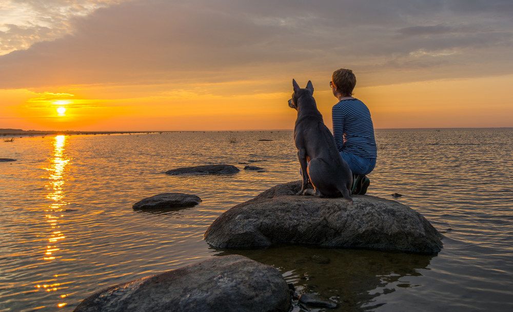 Photograph by Роман Фабричный