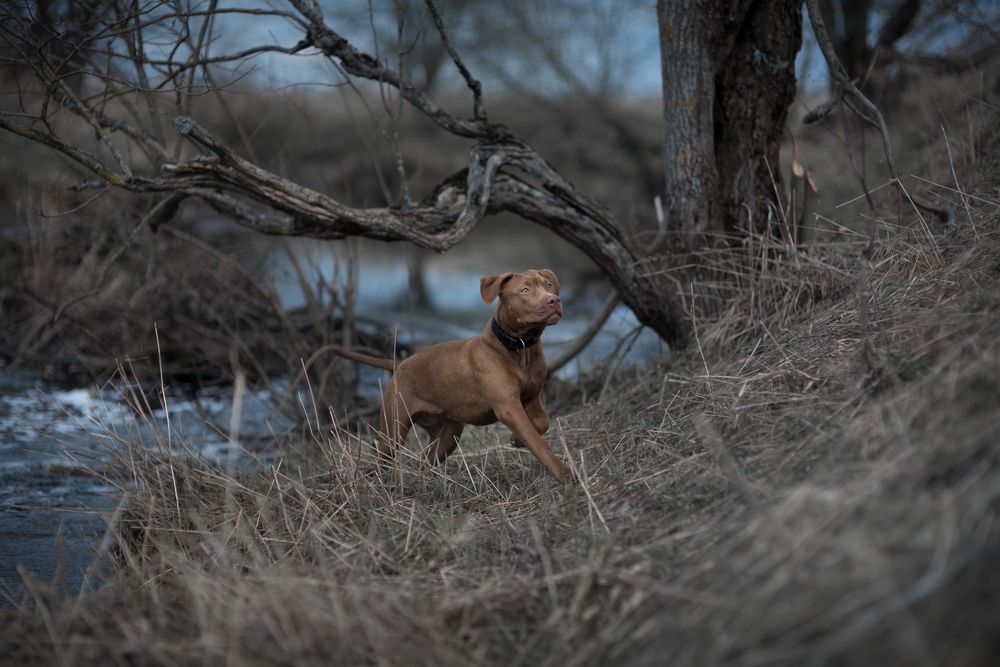 Photograph by Роман Фабричный