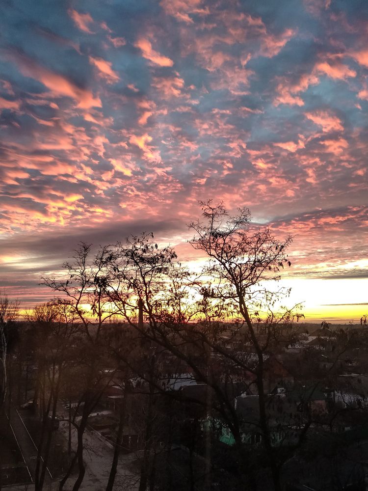 Photograph by Светлана Смирнова