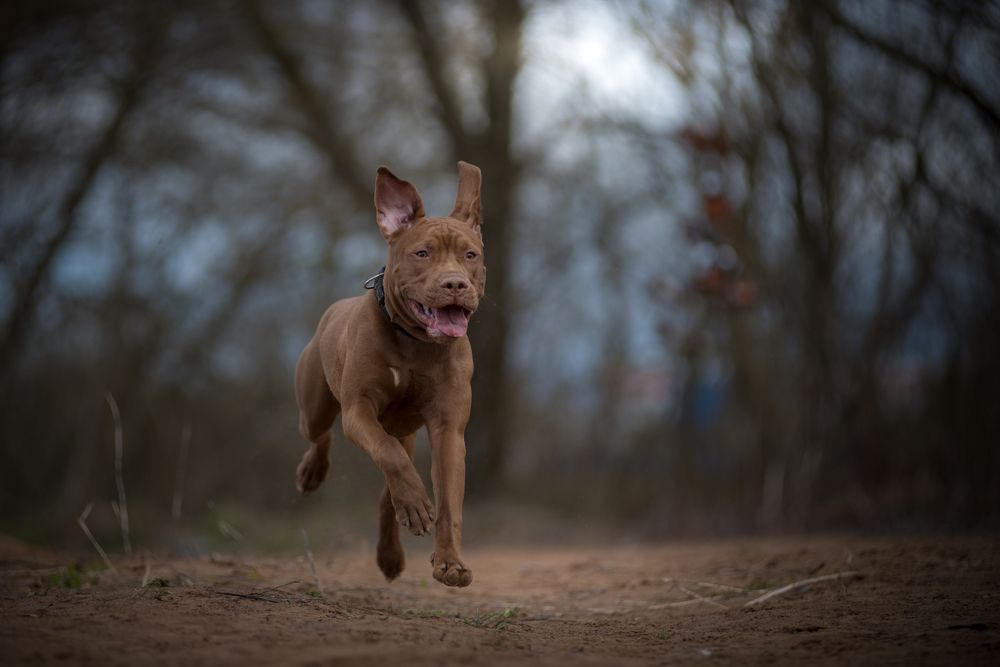 Photograph by Роман Фабричный