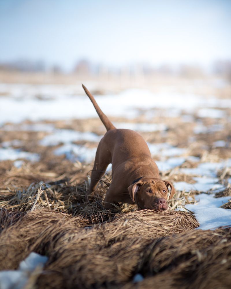 Photograph by Роман Фабричный