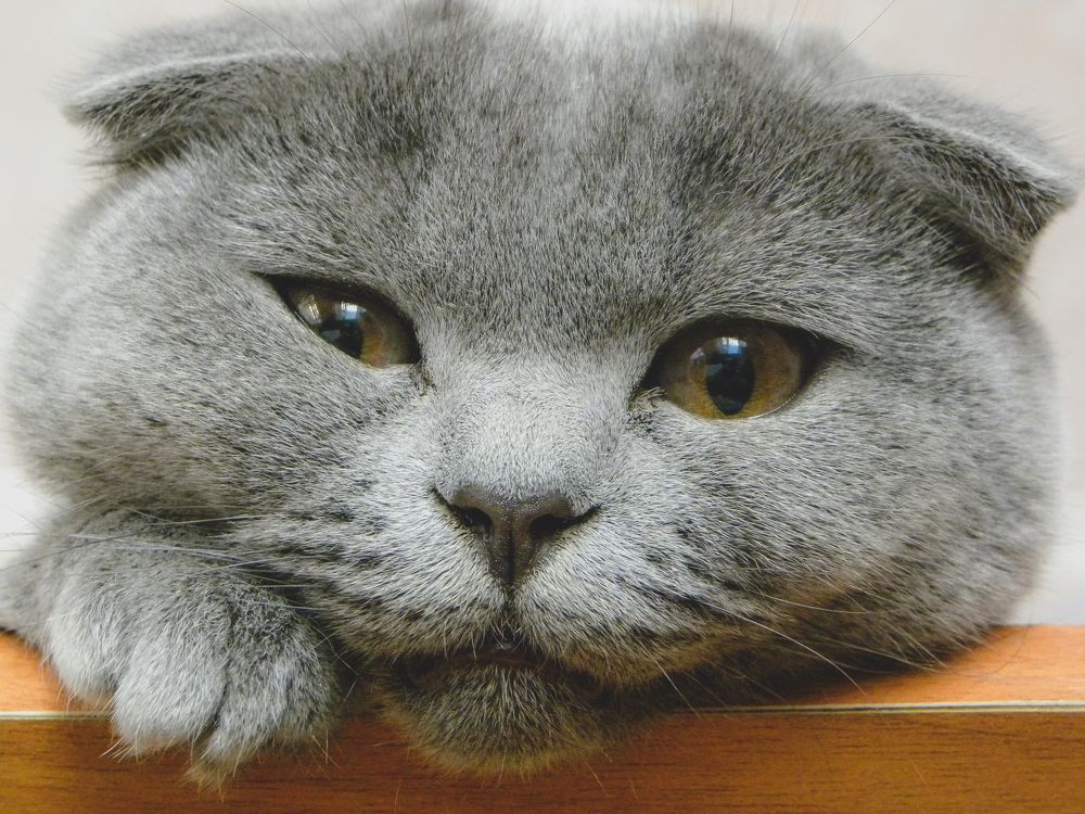 Photograph by Александр Малютин