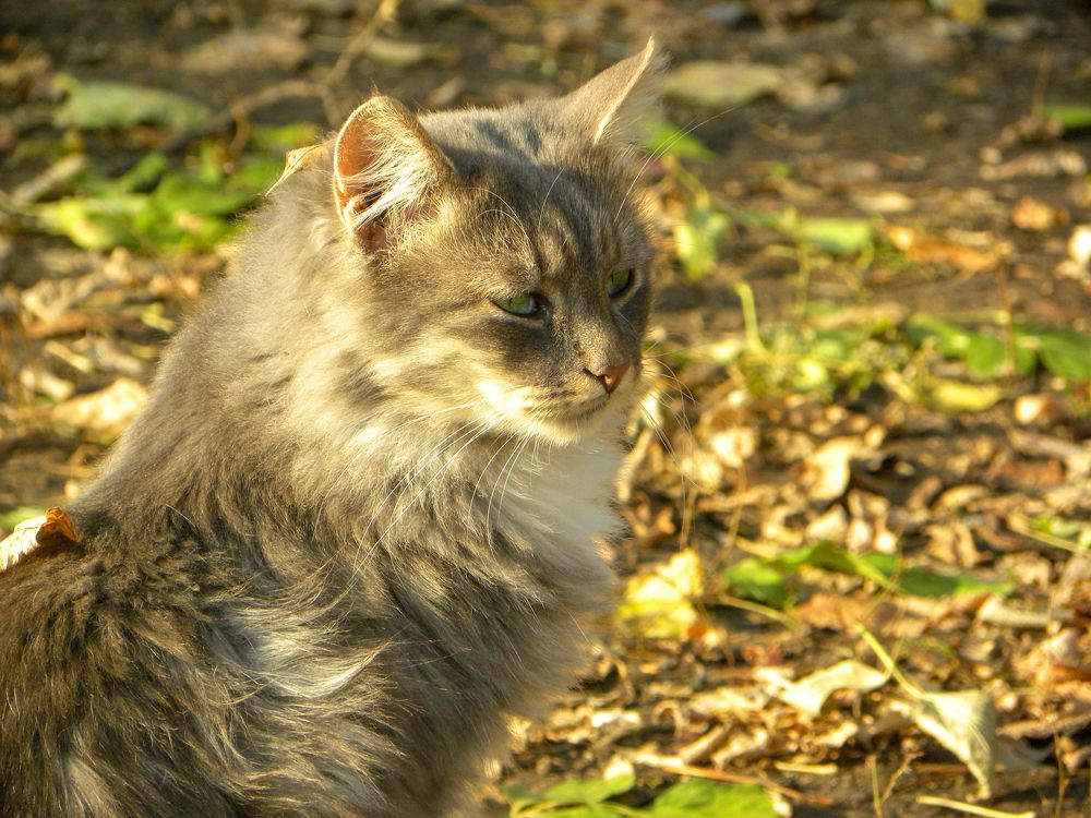 Photograph by Александр Малютин