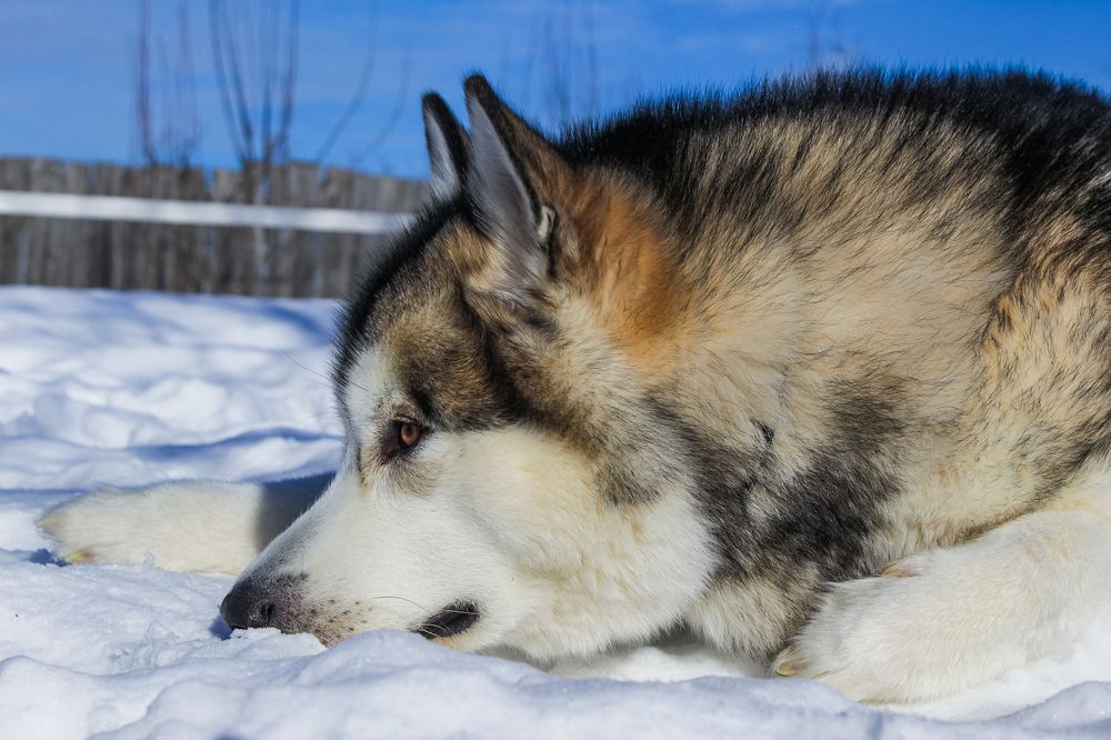 Photograph by Виктория Попкова