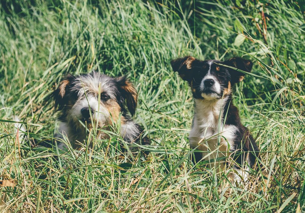 Photograph by Алексей