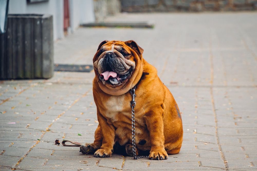 Photograph by Алексей