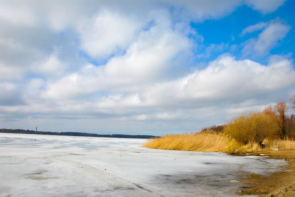 Photograph by Hanna Rein