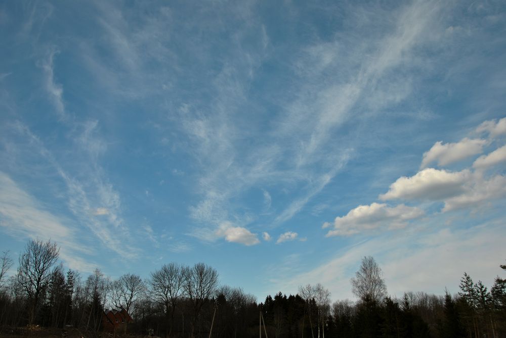 Photograph by Hanna Rein