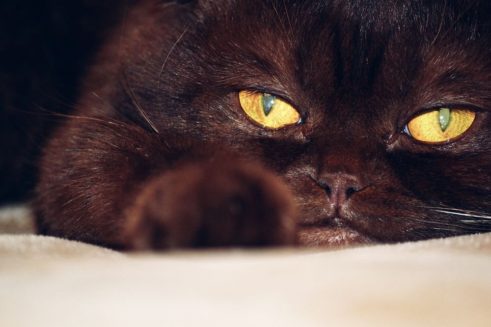 Photograph by Надежда Сабаева