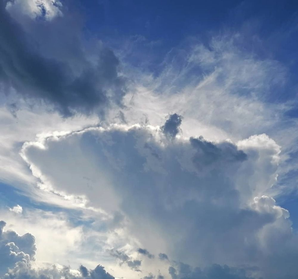 Photograph by Inna Korepanova