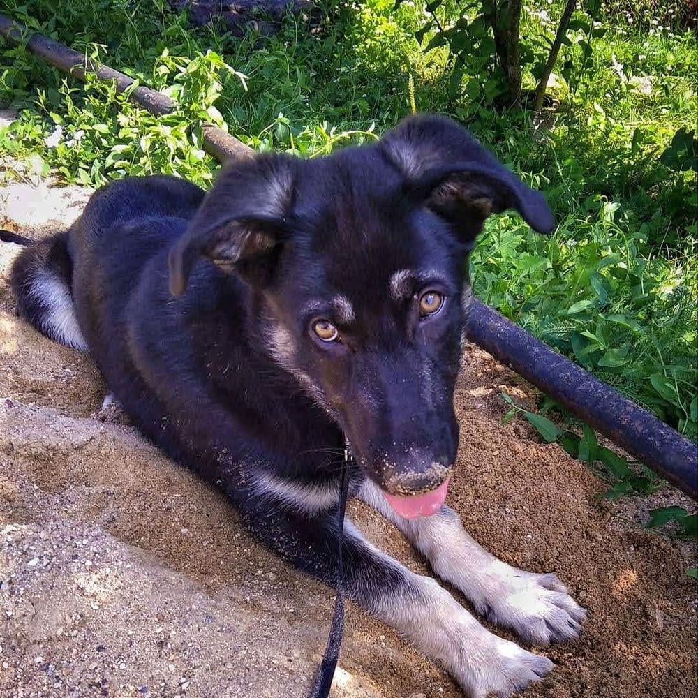 Photograph by Алексей Копылов