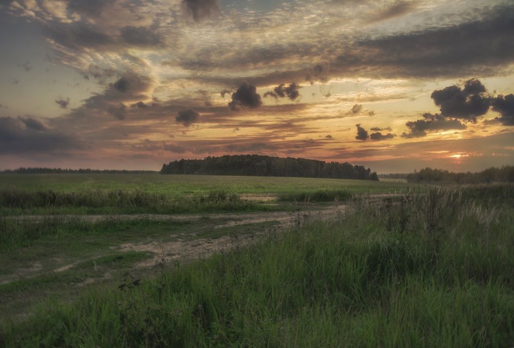 алый водолей