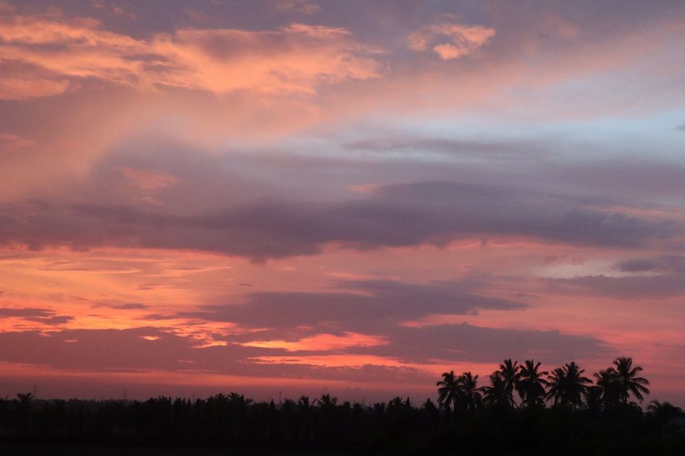 Photograph by Bapodara Sugha