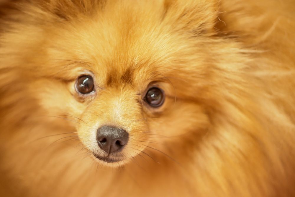 Photograph by Елена Квасова