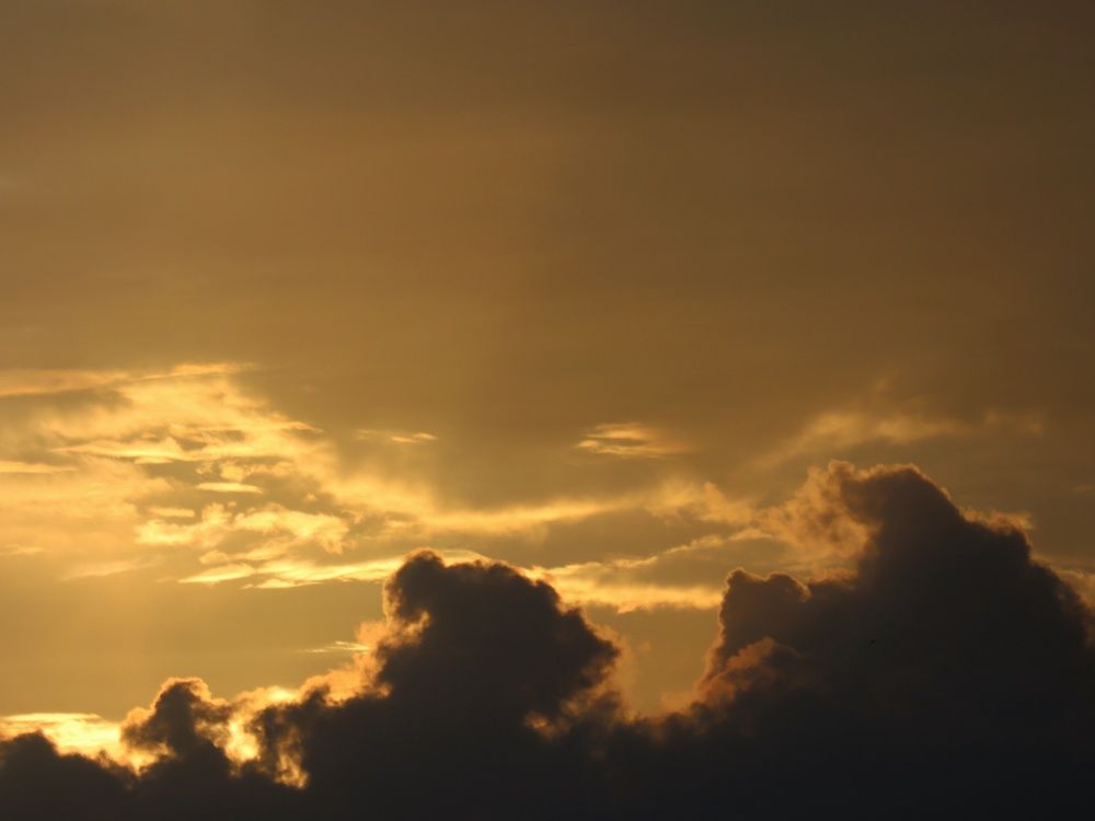 Photograph by Bapodara Sugha