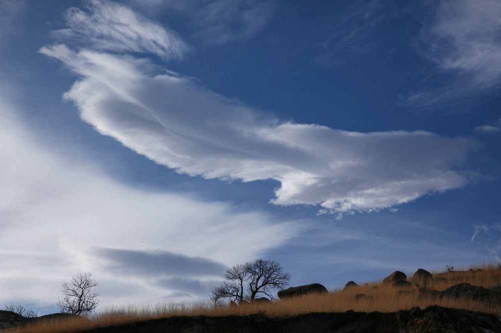 Photograph by Marat Magov