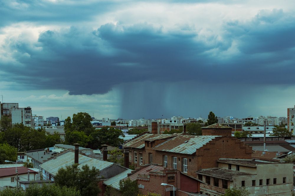 The plague of nature