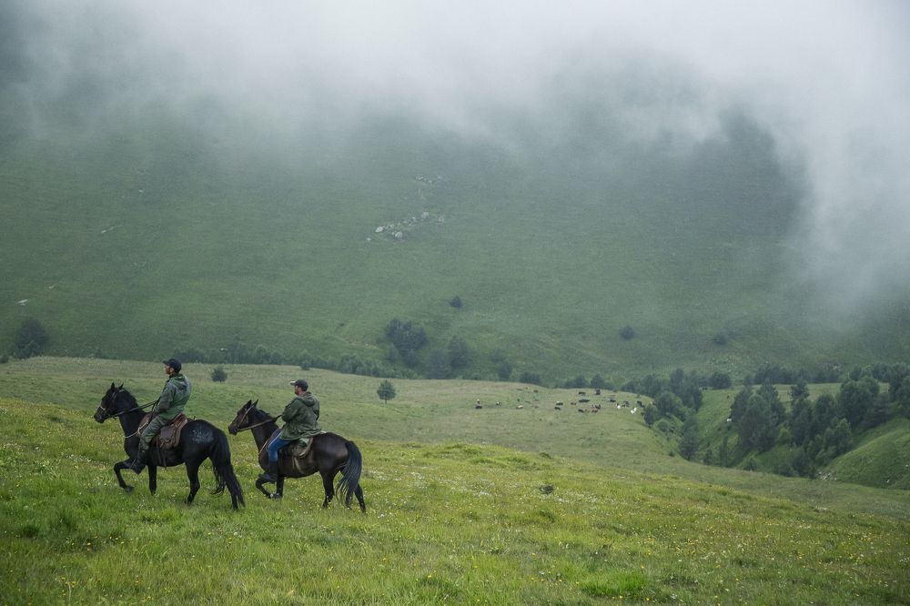 Photograph by Майя Динова