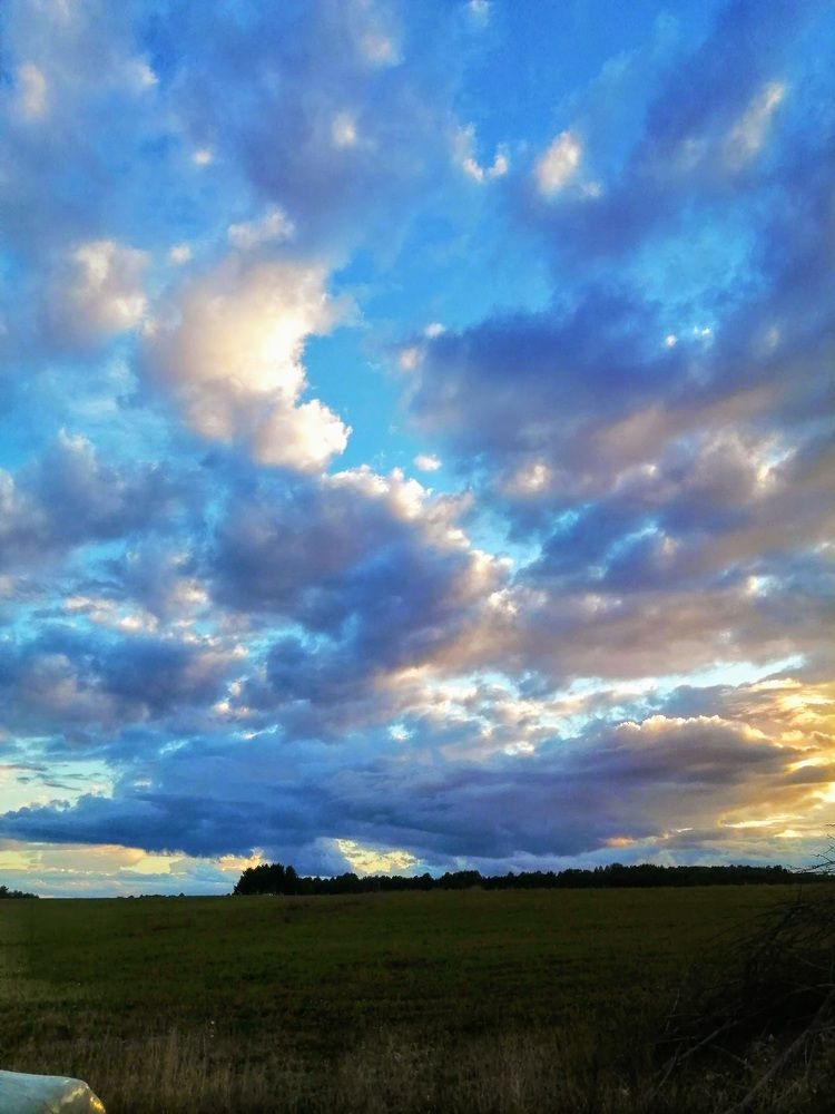 Photograph by Елена