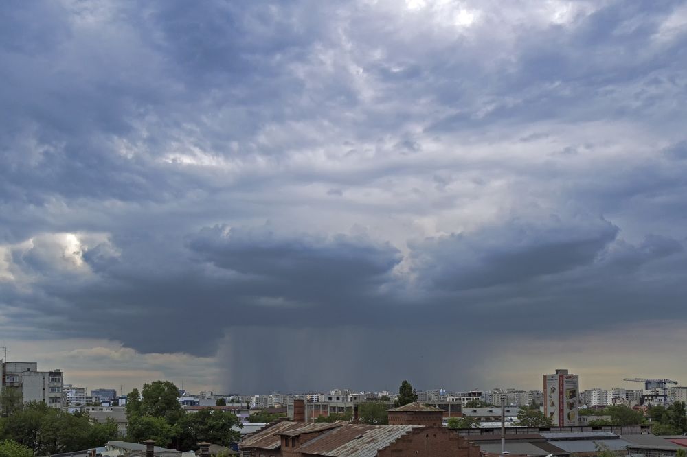 The plague of nature