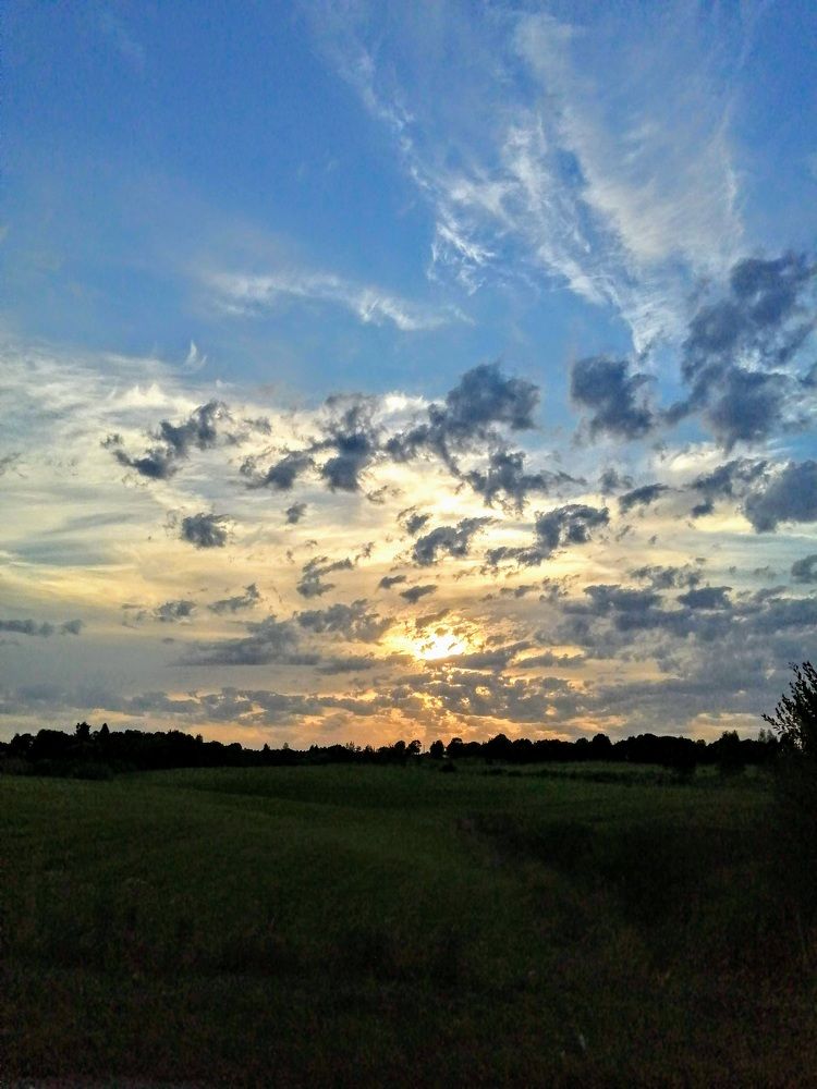 Photograph by Елена