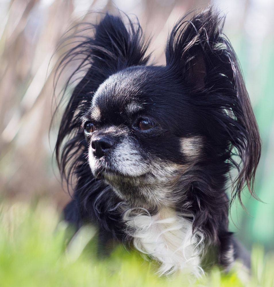 Photograph by Лариса Лофицкая