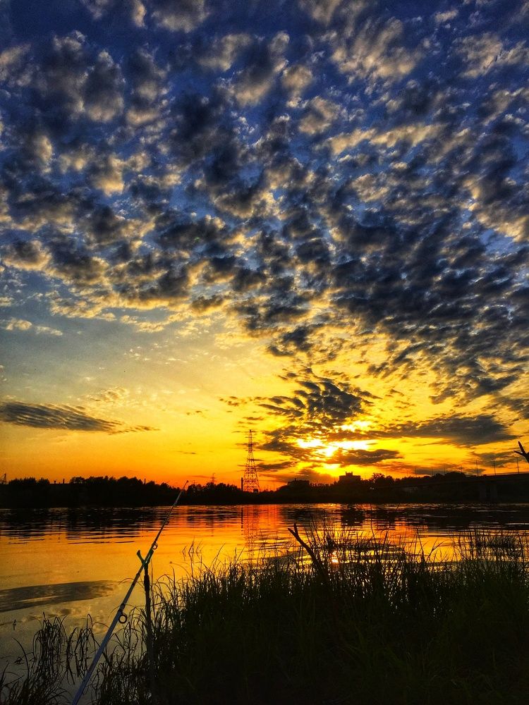 Photograph by Светлана Ишкина