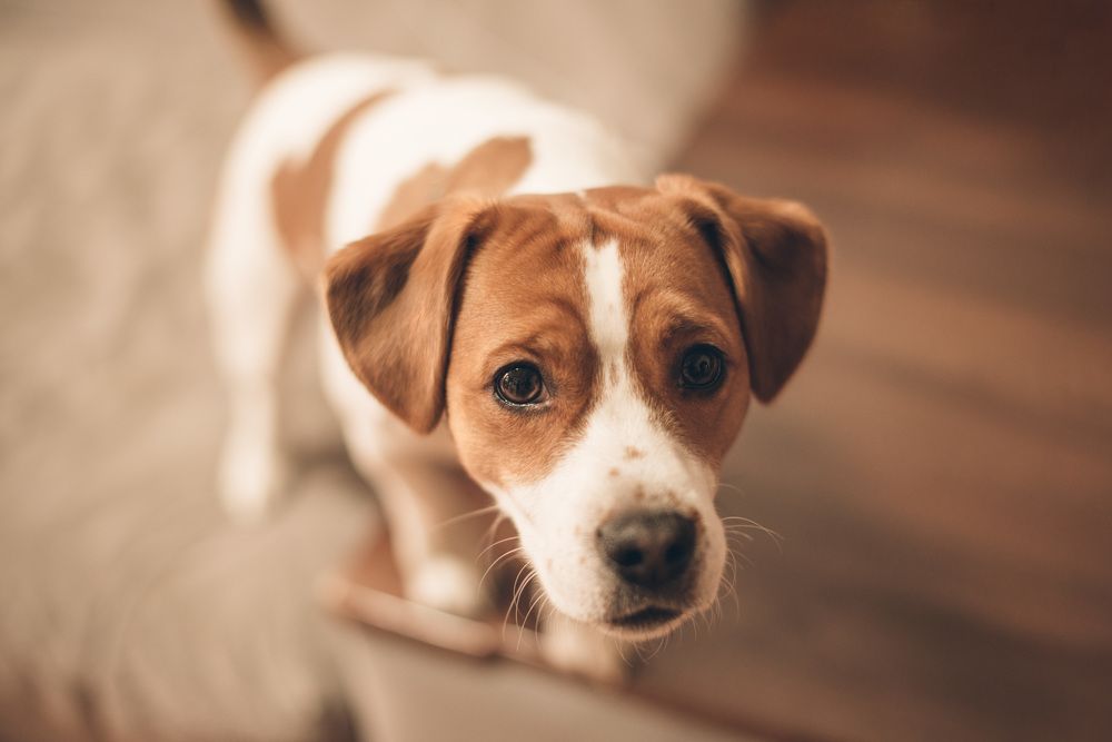 Photograph by Светлана Гришина