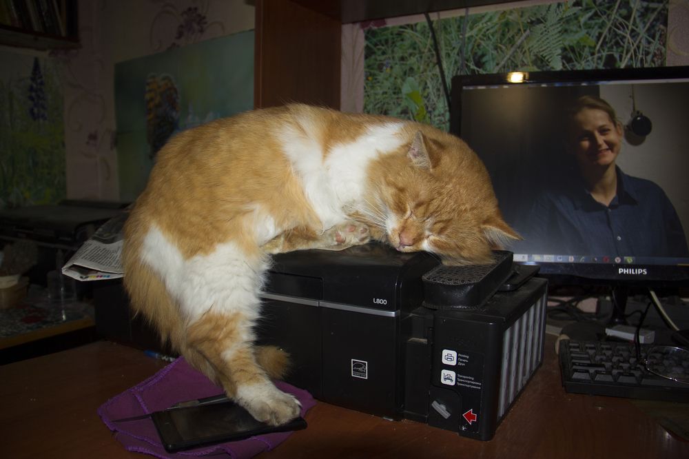 Photograph by Анна-Лаймуте Милошевич