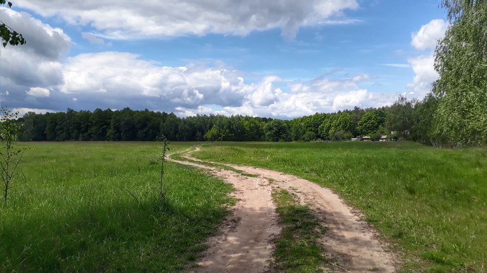 Photograph by Кристина Шляхова