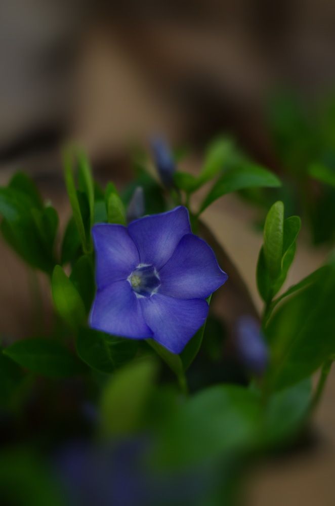 Photograph by Зоя