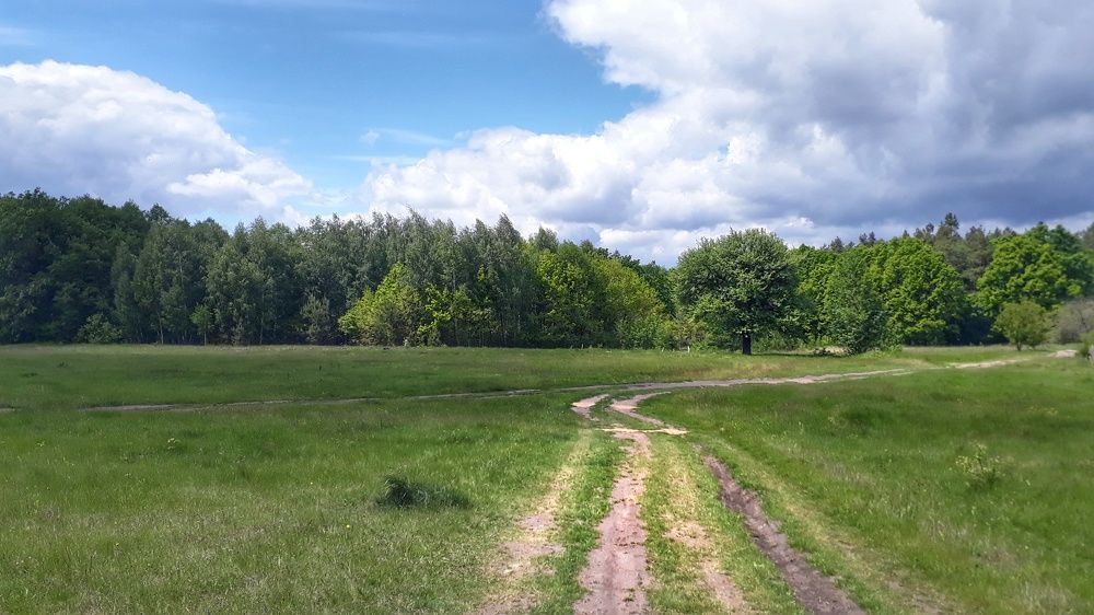 Photograph by Кристина Шляхова