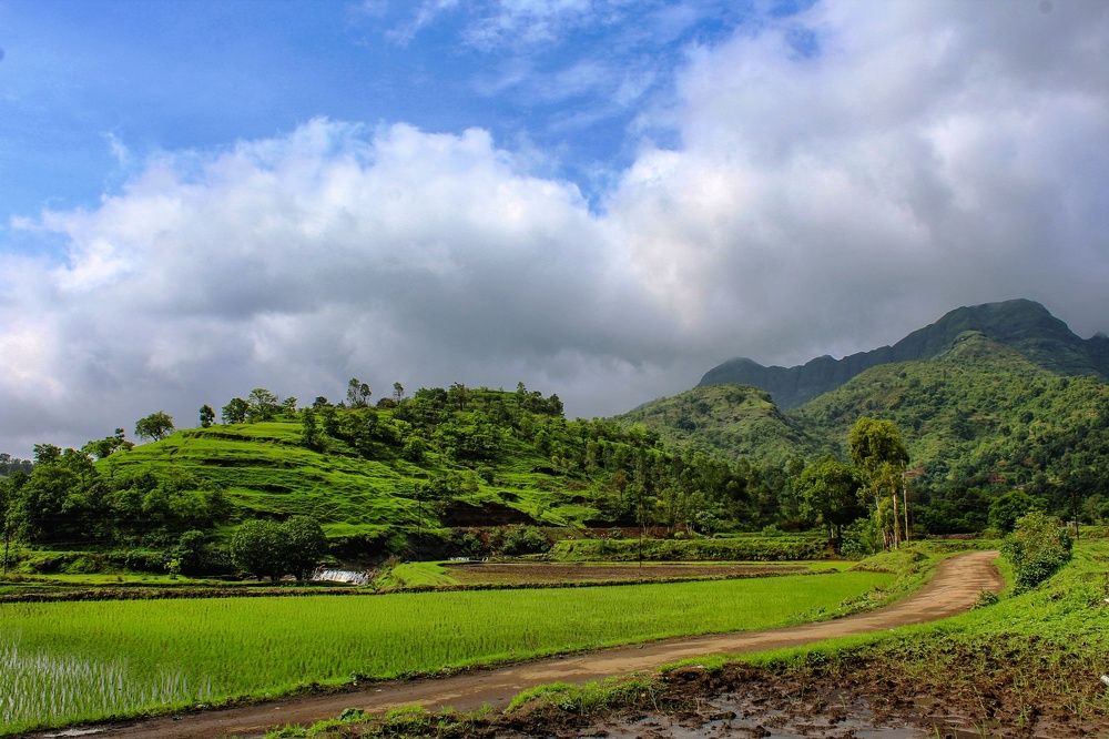 Photograph by Tushar Jadhav