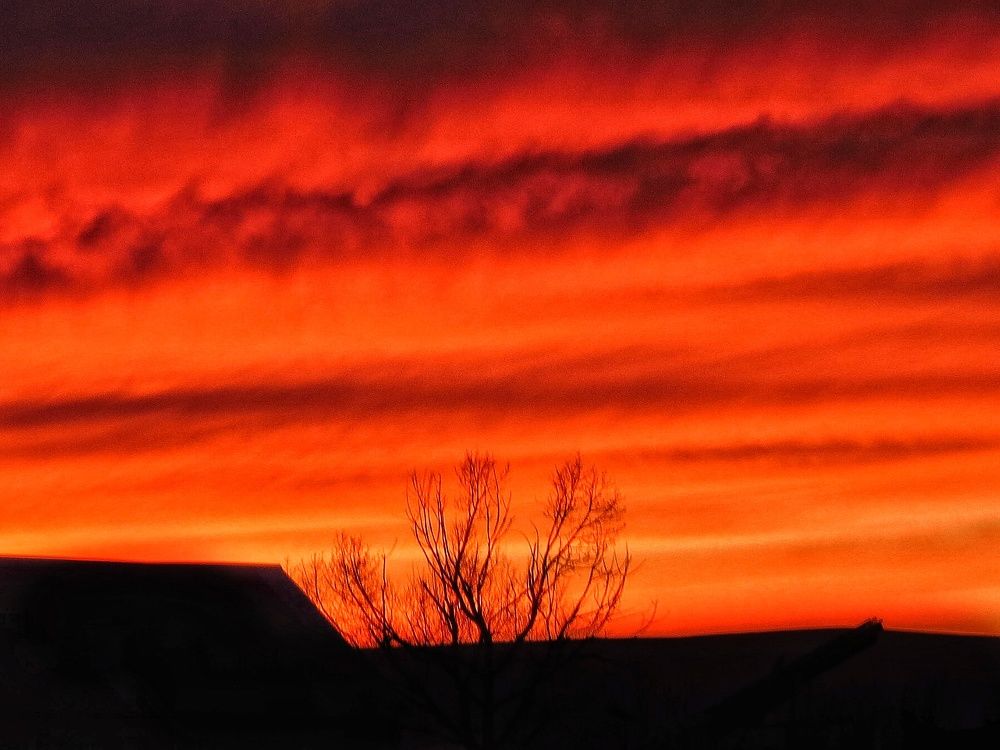 Photograph by Елена Леоненко