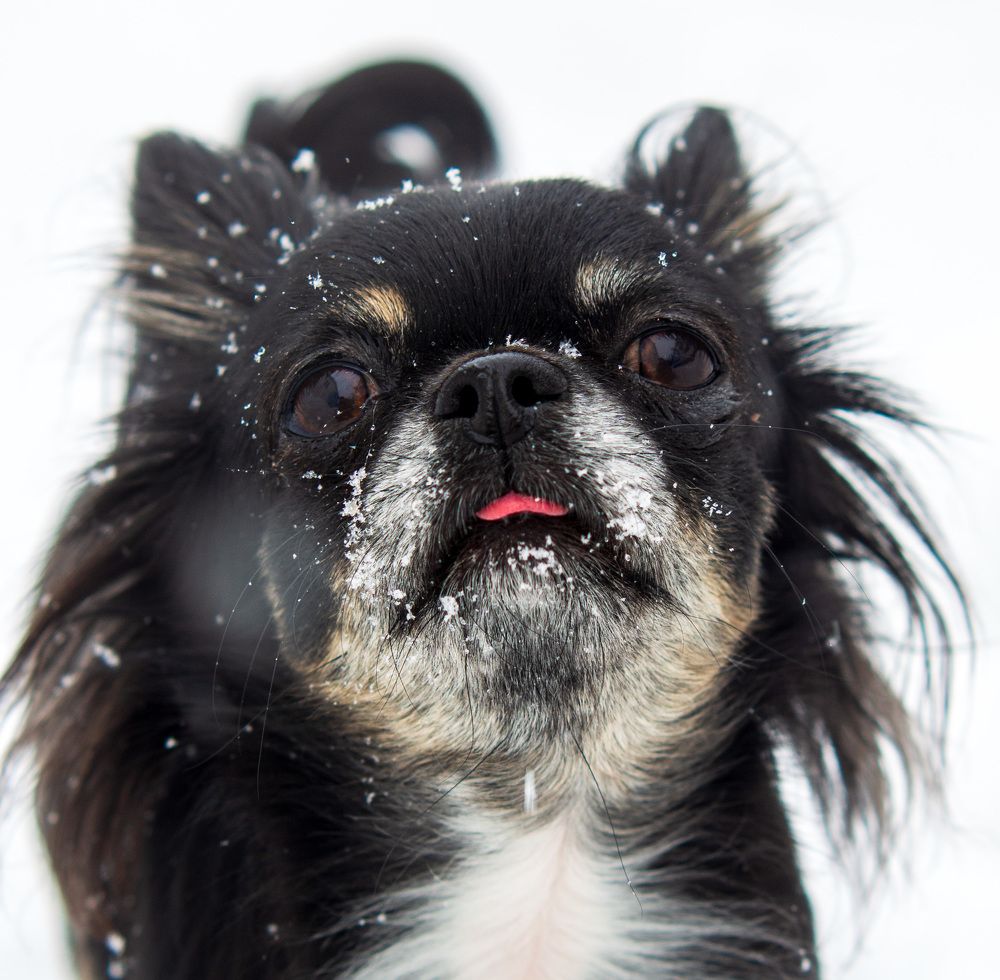 Photograph by Лариса Лофицкая