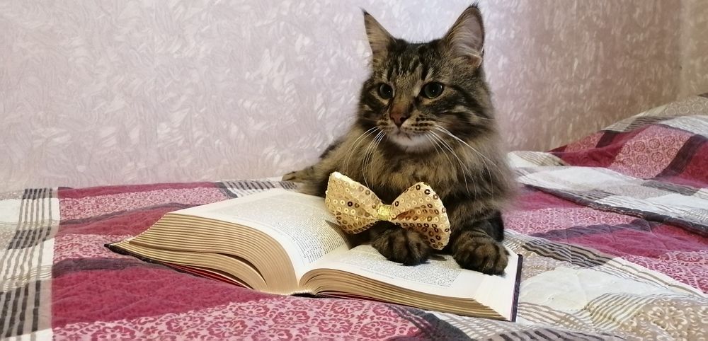 Photograph by Вероника