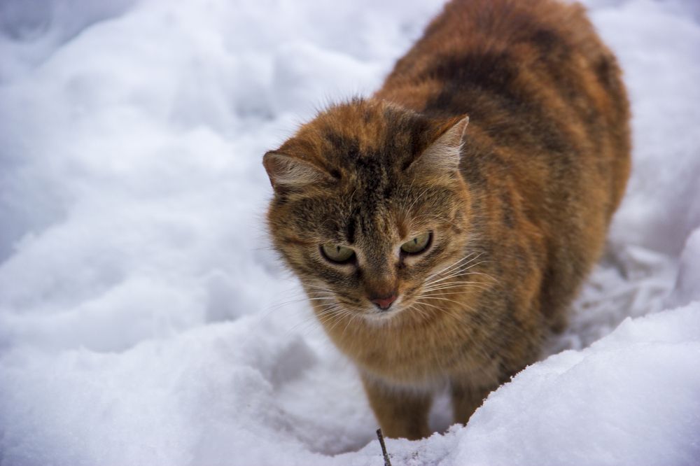 Photograph by Анна-Лаймуте Милошевич