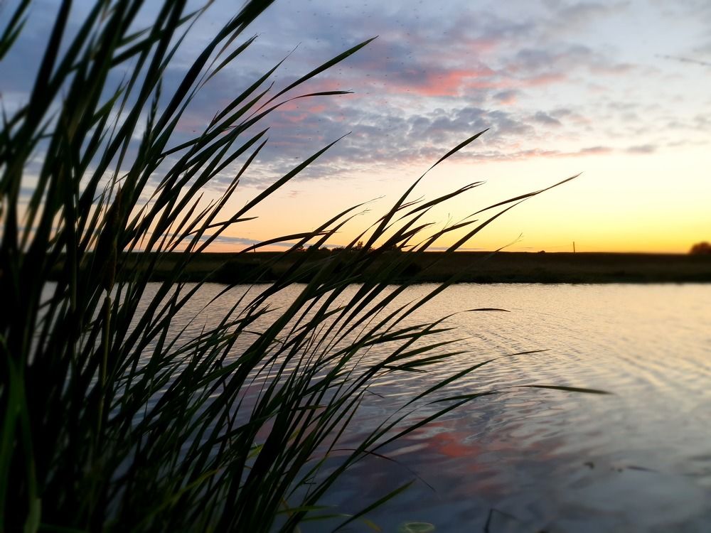 Фотография автора Angun Angusha