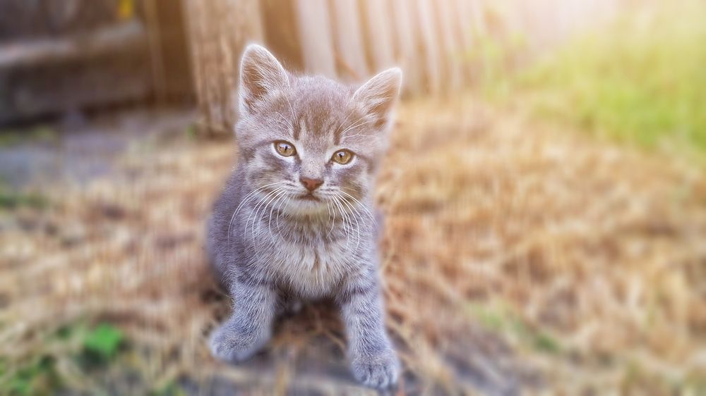 Photograph by Кристина Шляхова