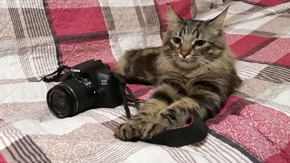 Photograph by Вероника