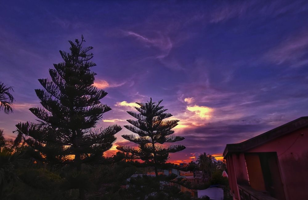 Photograph by Sandip Dey