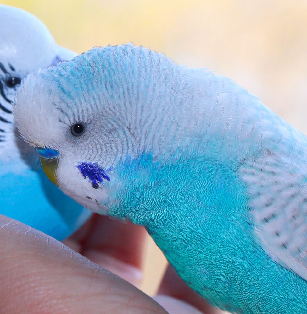 Photograph by Яна Толмачёва