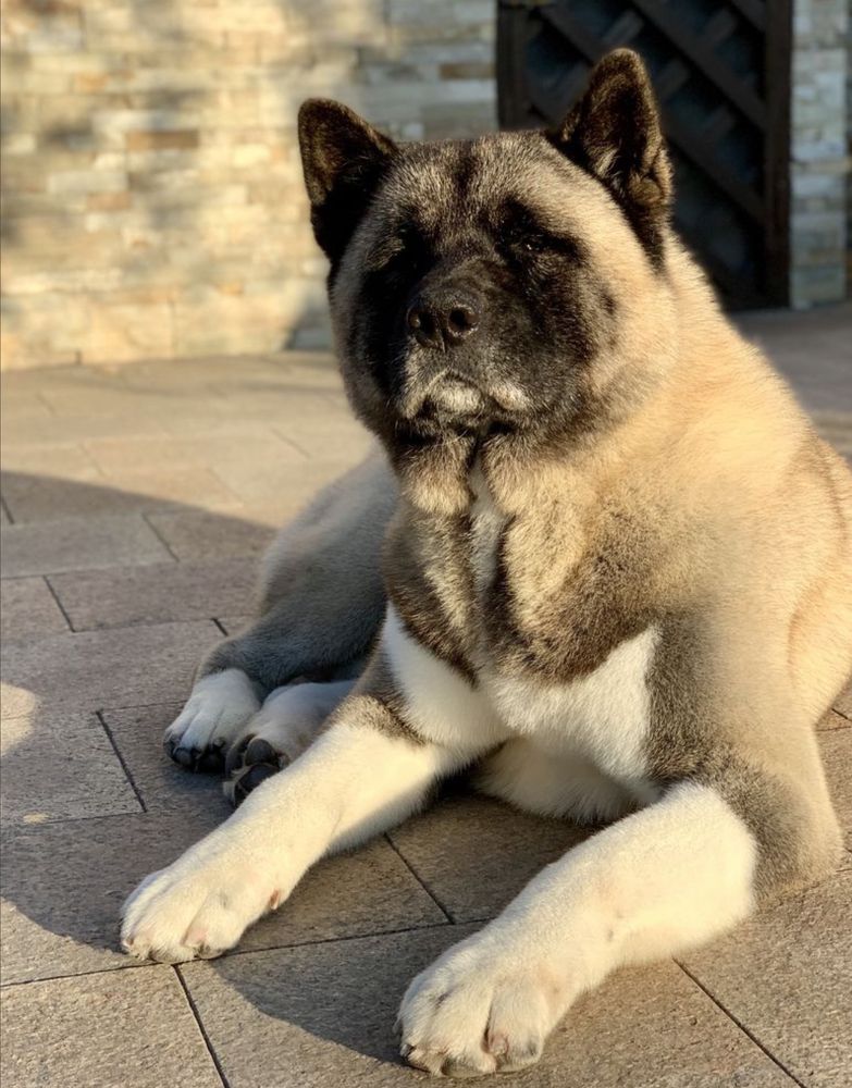 Photograph by SergioSteel