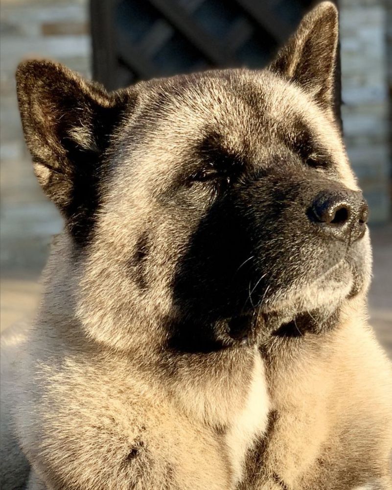 Photograph by SergioSteel