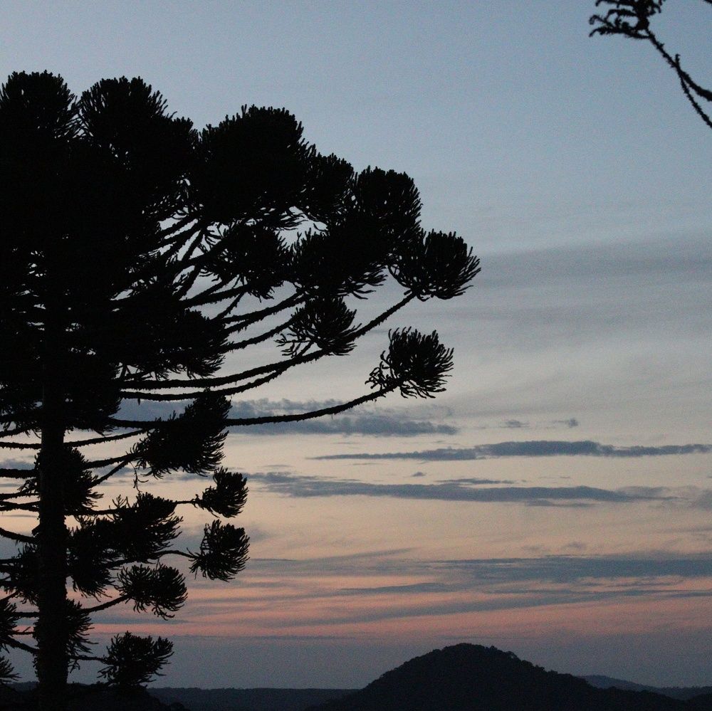 Photograph by Rodrigo