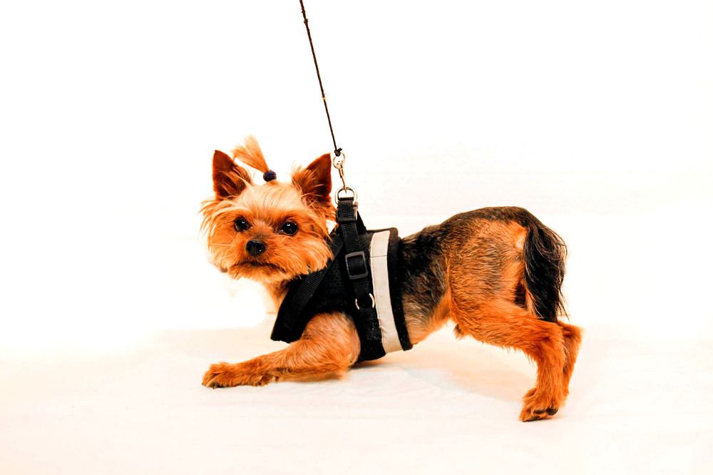 Фотография автора Людмила Иванова