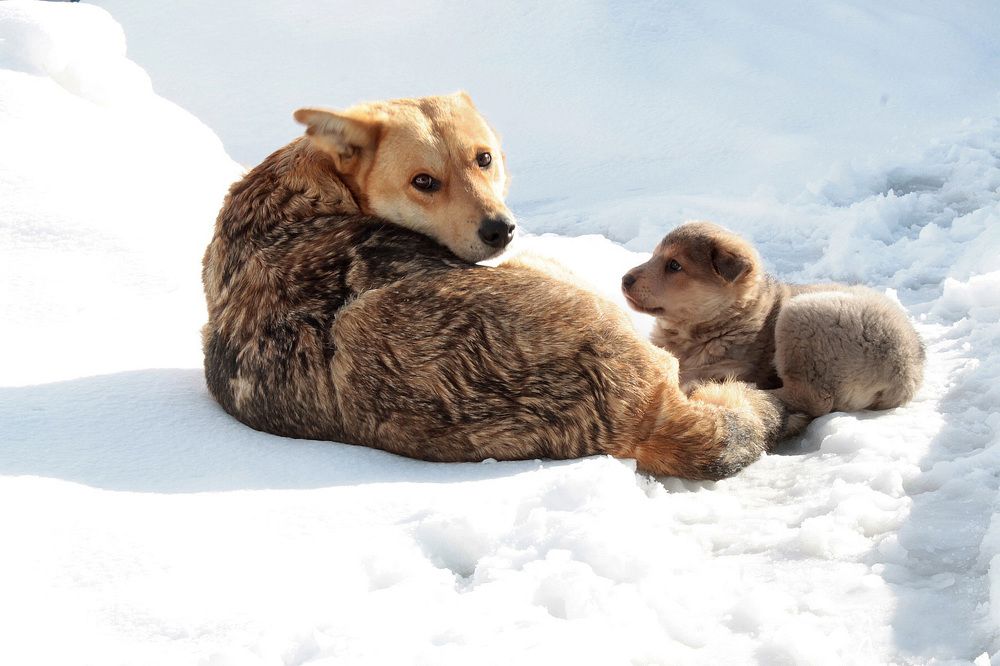 Фотография автора Людмила Иванова