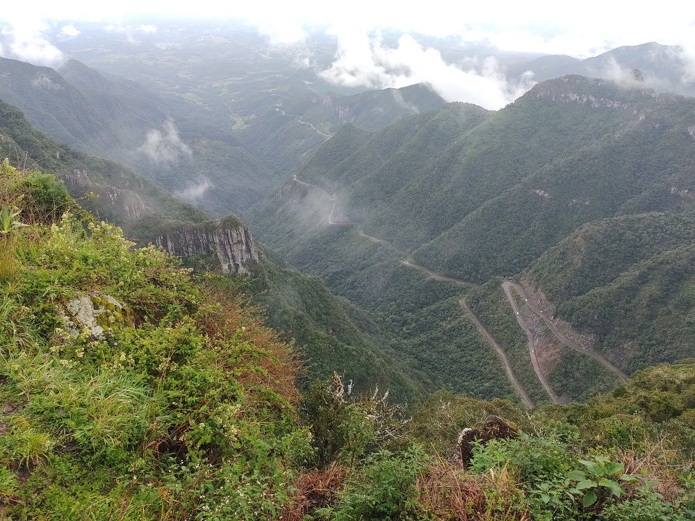 Photo #6066150