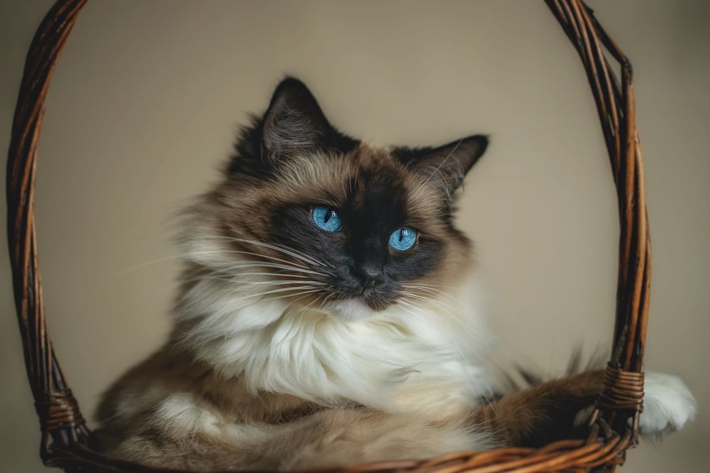 Фотография автора Natalja Bindere