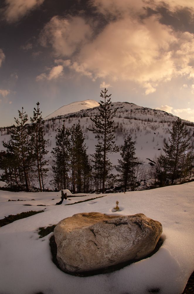 Одинокий камень у предгорья горы Ниттис